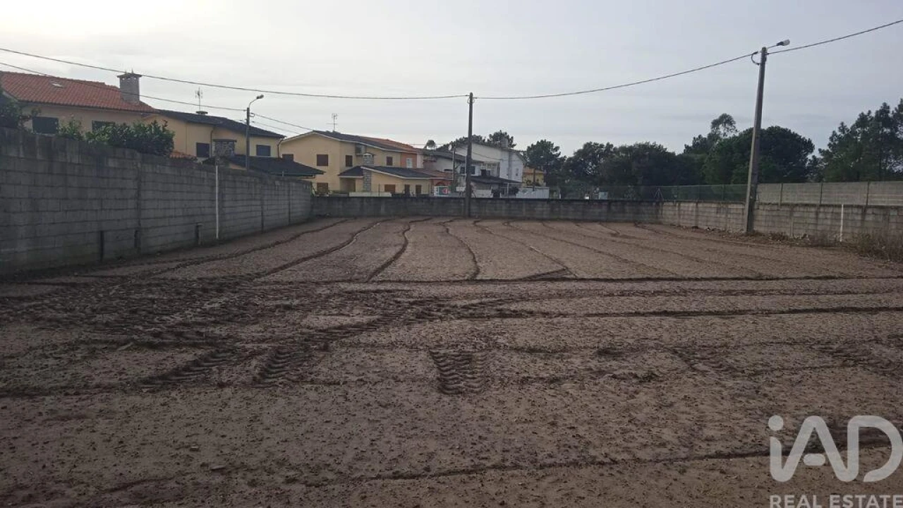 Terreno para Venda em Estela Foto 22