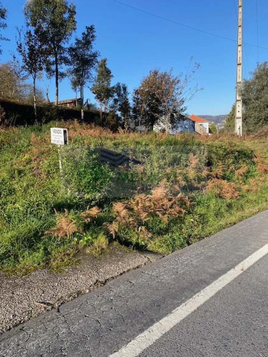 Terreno para Venda em Cedrim e Paradela Foto 1