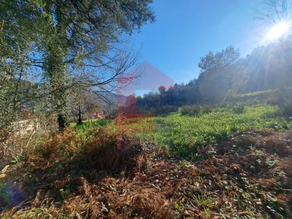 Terreno para Venda em Valbom (São Pedro), Passô e Valbom (São Martinho) Foto 10
