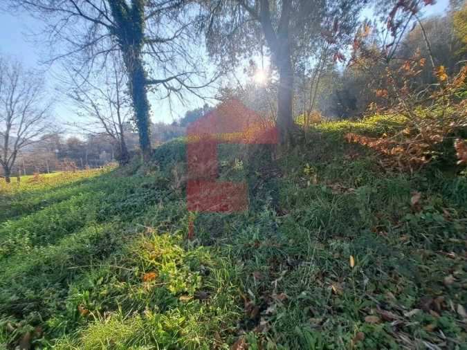 Terreno para Venda em Valbom (São Pedro), Passô e Valbom (São Martinho) Foto 9
