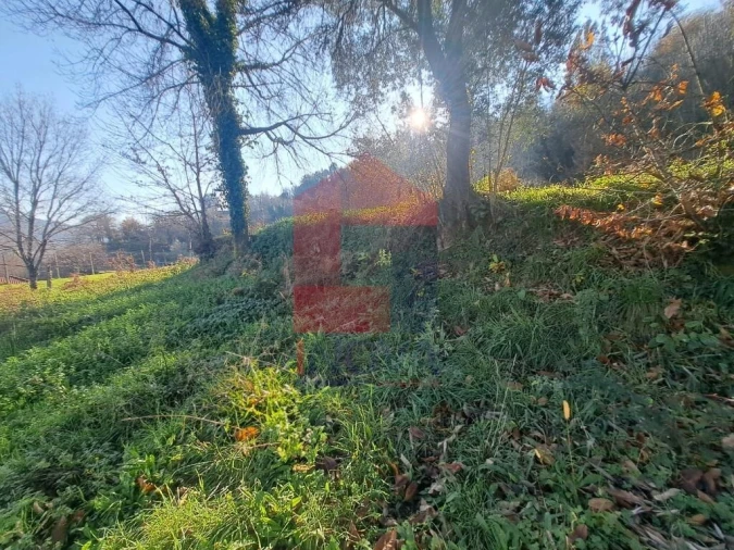 Terreno para Venda em Valbom (São Pedro), Passô e Valbom (São Martinho) Foto 7