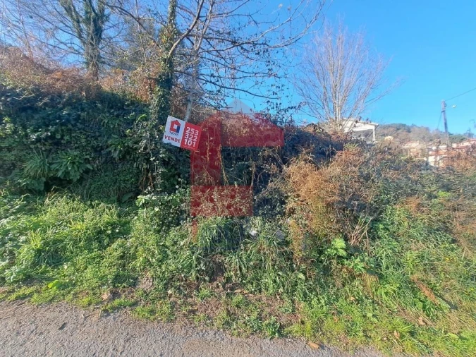 Terreno para Venda em Valbom (São Pedro), Passô e Valbom (São Martinho) Foto 16