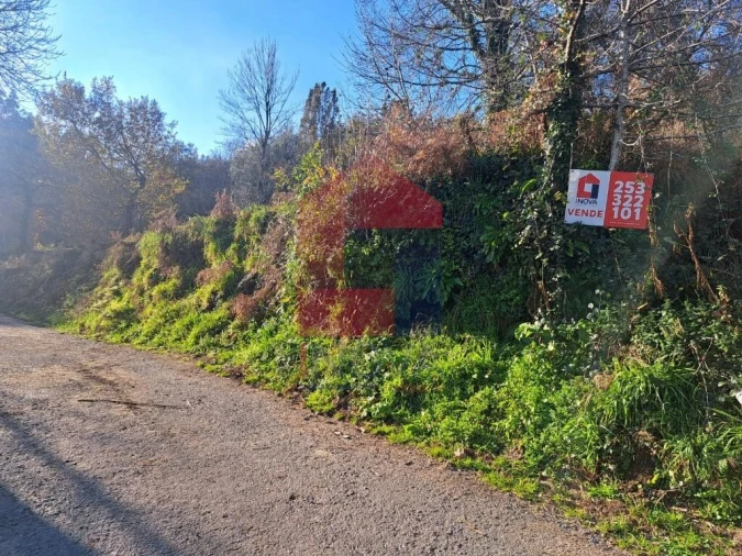 Terreno para Venda em Valbom (São Pedro), Passô e Valbom (São Martinho) Foto 17