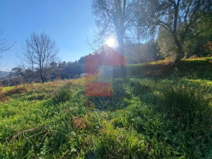 Terreno para Venda em Valbom (São Pedro), Passô e Valbom (São Martinho) Foto 4