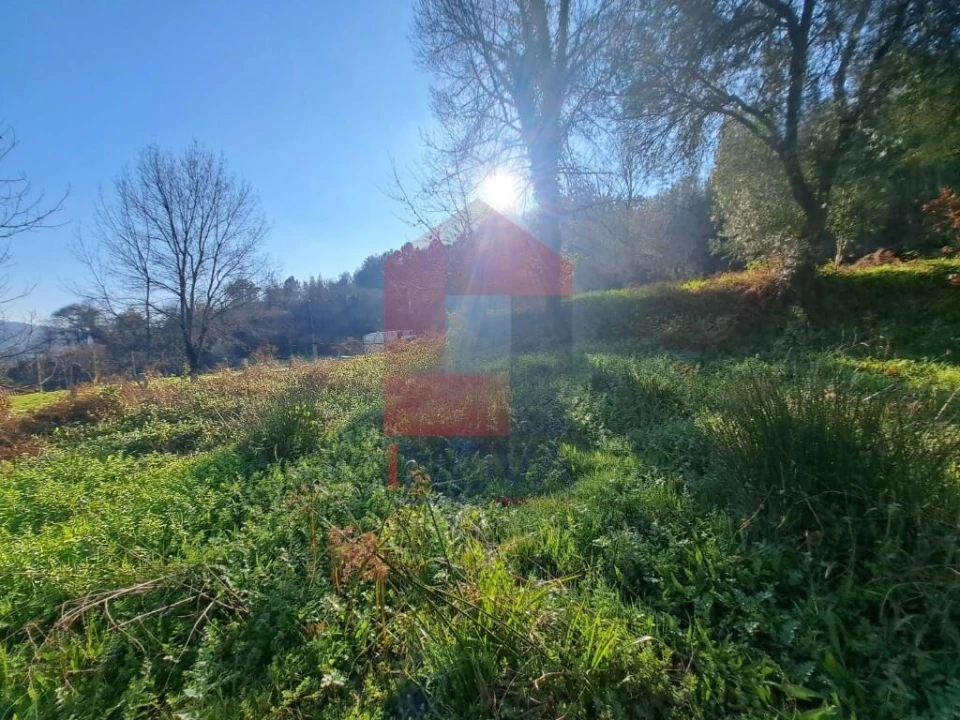 Terreno para Venda em Valbom (São Pedro), Passô e Valbom (São Martinho) Foto 4