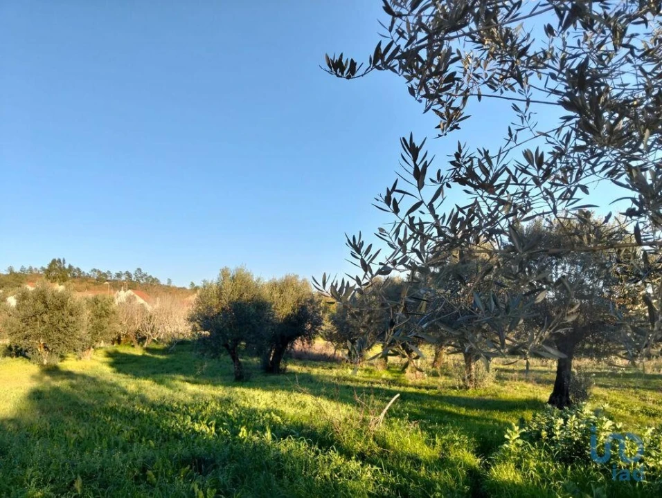 Moradia T2 para Venda em Chãos Foto 6