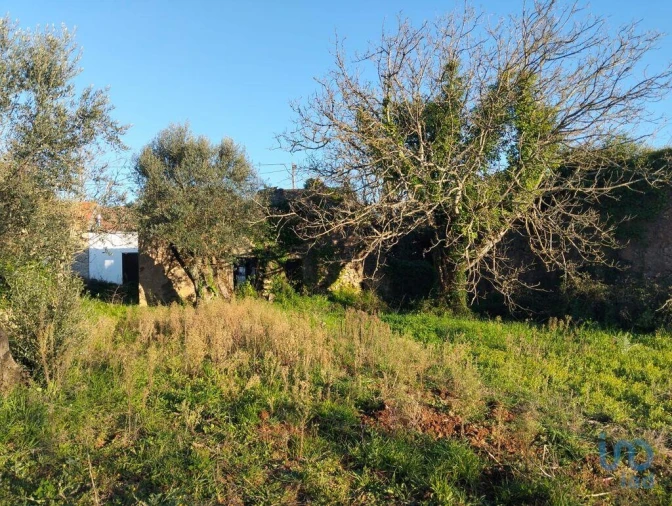 Moradia T2 para Venda em Chãos Foto 11