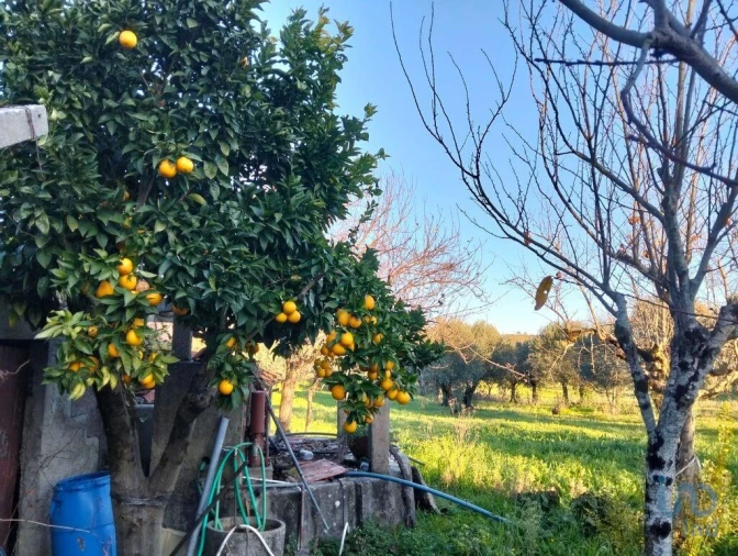 Moradia T2 para Venda em Chãos Foto 8