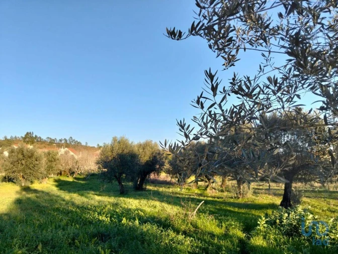 Moradia T2 para Venda em Chãos Foto 6