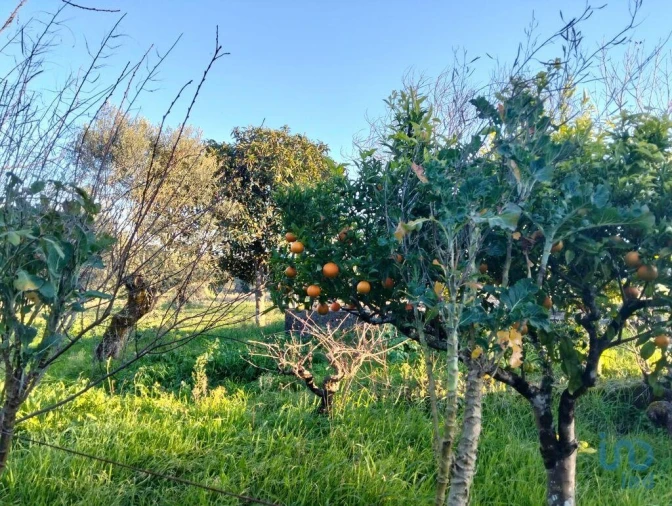 Moradia T2 para Venda em Chãos Foto 7