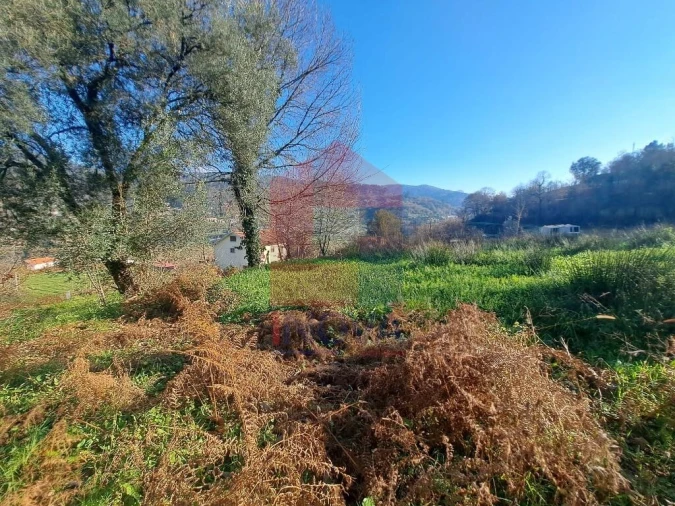 Moradia para Venda em Valbom (São Pedro), Passô e Valbom (São Martinho) Foto 7