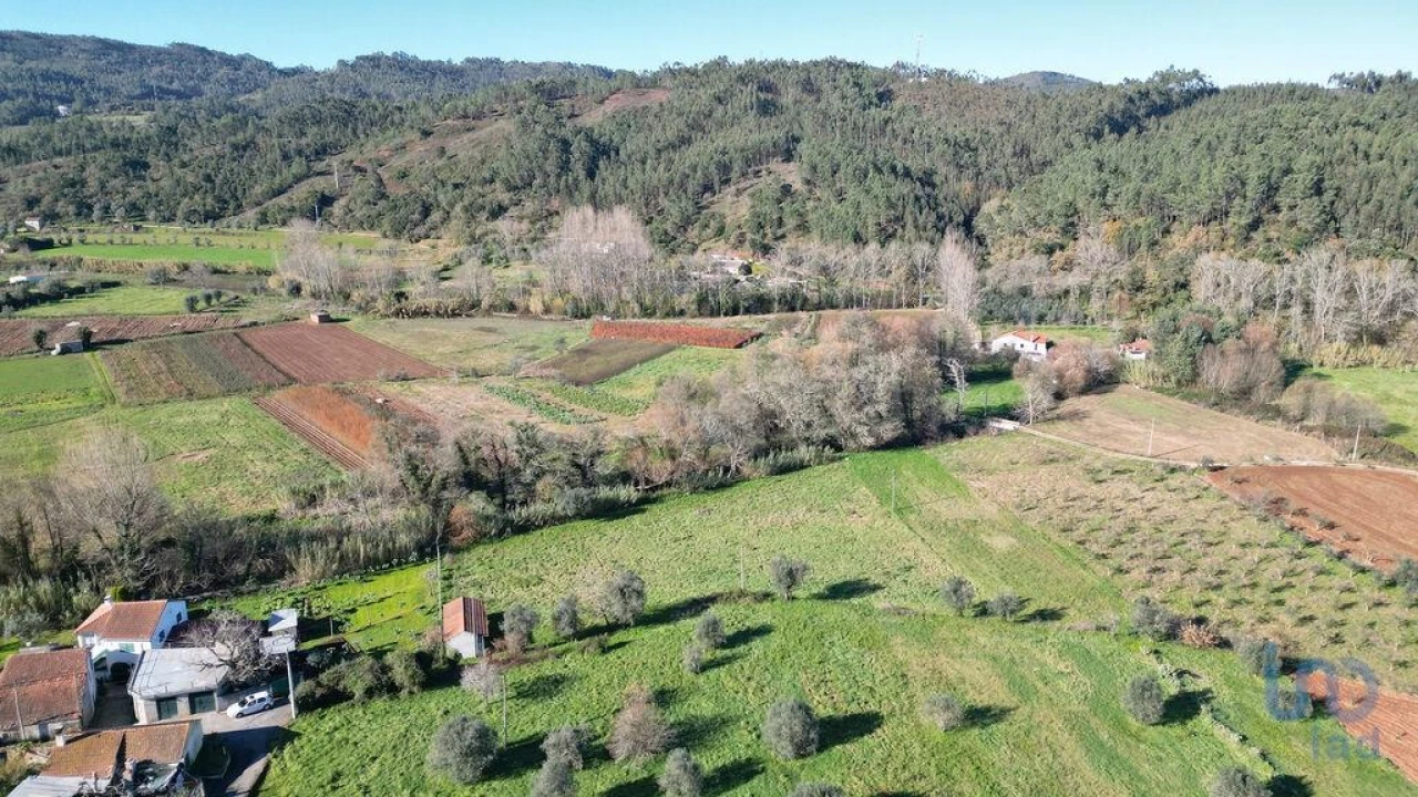 Terreno para Venda em São Miguel, Santa Eufémia e Rabaçal Foto 6