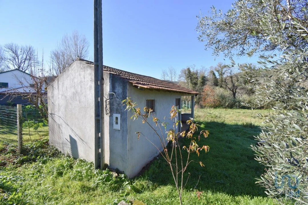 Terreno para Venda em São Miguel, Santa Eufémia e Rabaçal Foto 13