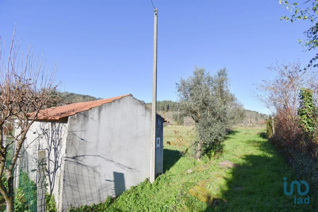 Terreno para Venda em São Miguel, Santa Eufémia e Rabaçal Foto 12