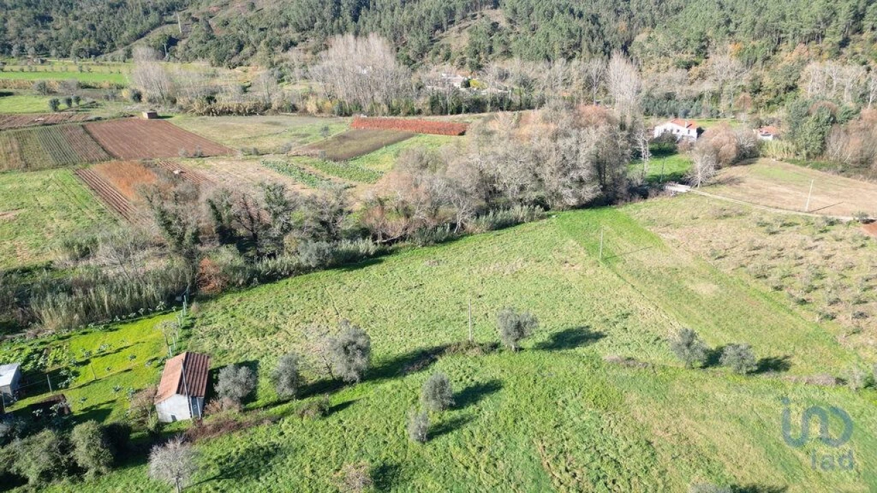 Terreno para Venda em São Miguel, Santa Eufémia e Rabaçal Foto 5