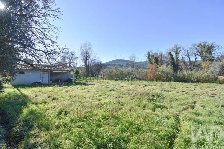 Terreno para Venda em São Miguel, Santa Eufémia e Rabaçal Foto 17