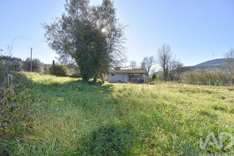 Terreno para Venda em São Miguel, Santa Eufémia e Rabaçal Foto 18