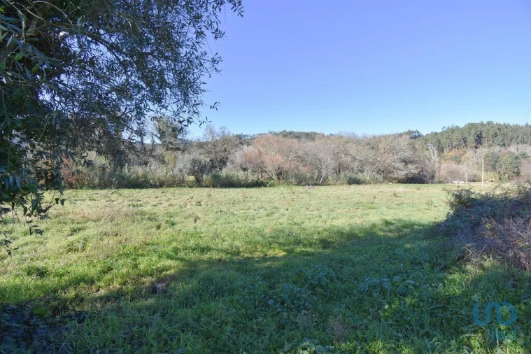 Terreno para Venda em São Miguel, Santa Eufémia e Rabaçal Foto 15
