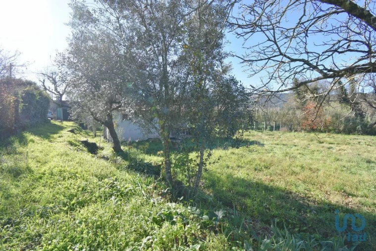 Terreno para Venda em São Miguel, Santa Eufémia e Rabaçal Foto 14