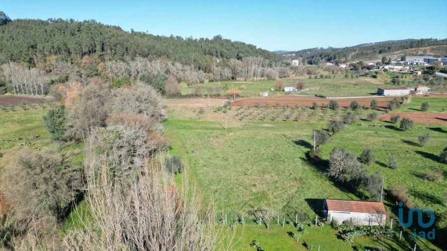 Terreno para Venda em São Miguel, Santa Eufémia e Rabaçal Foto 4