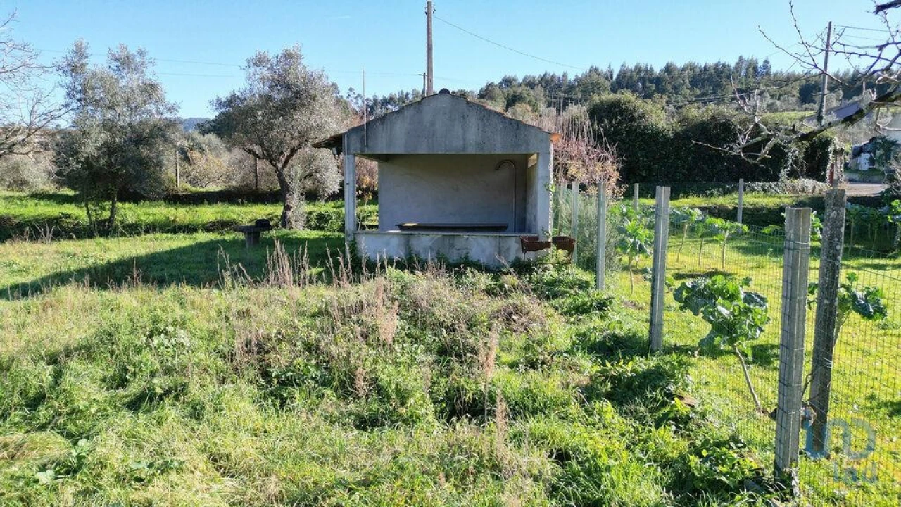 Terreno para Venda em São Miguel, Santa Eufémia e Rabaçal Foto 10