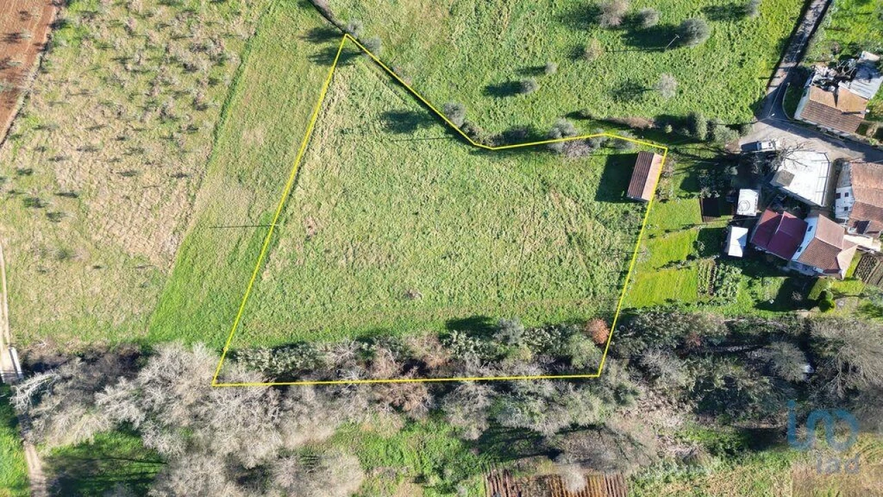 Terreno para Venda em São Miguel, Santa Eufémia e Rabaçal Foto 1