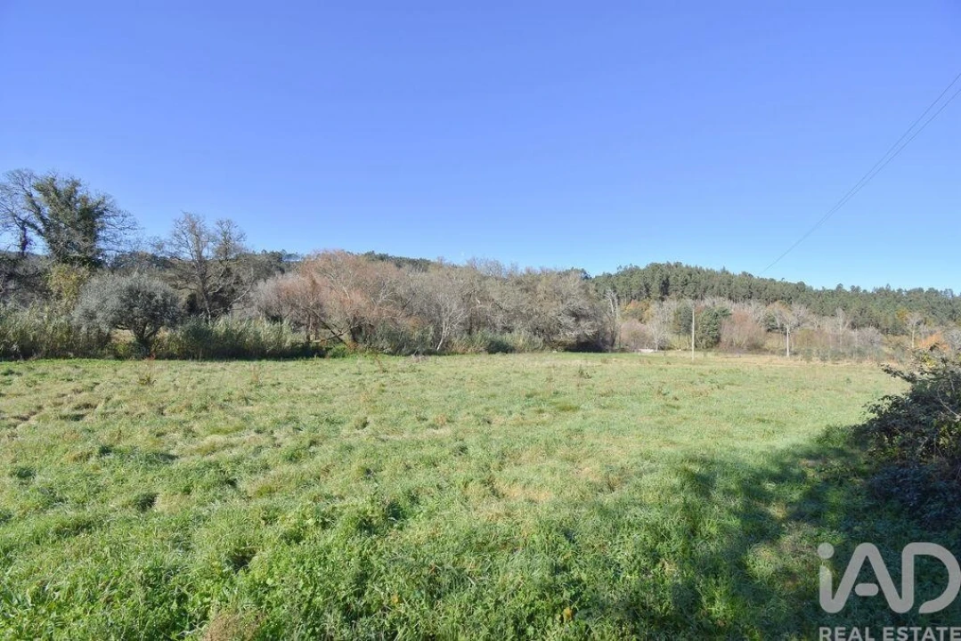 Terreno para Venda em São Miguel, Santa Eufémia e Rabaçal Foto 16