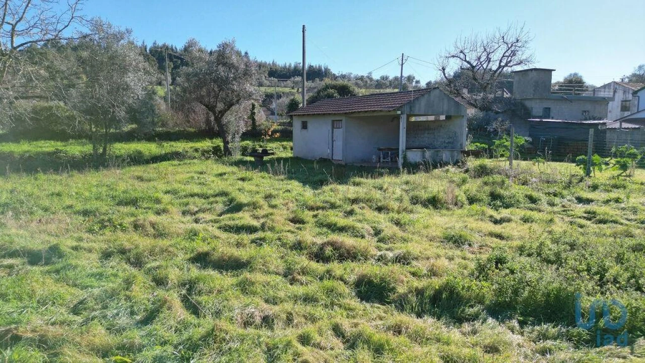 Terreno para Venda em São Miguel, Santa Eufémia e Rabaçal Foto 9