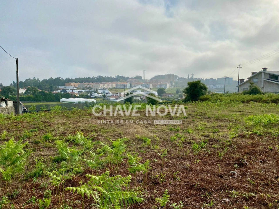 Terreno Misto para Venda em São João de Ver Foto 3