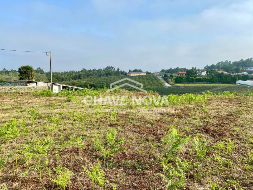 Terreno Misto para Venda em São João de Ver Foto 5
