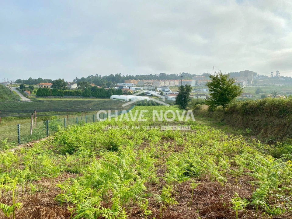 Terreno Misto para Venda em São João de Ver Foto 7