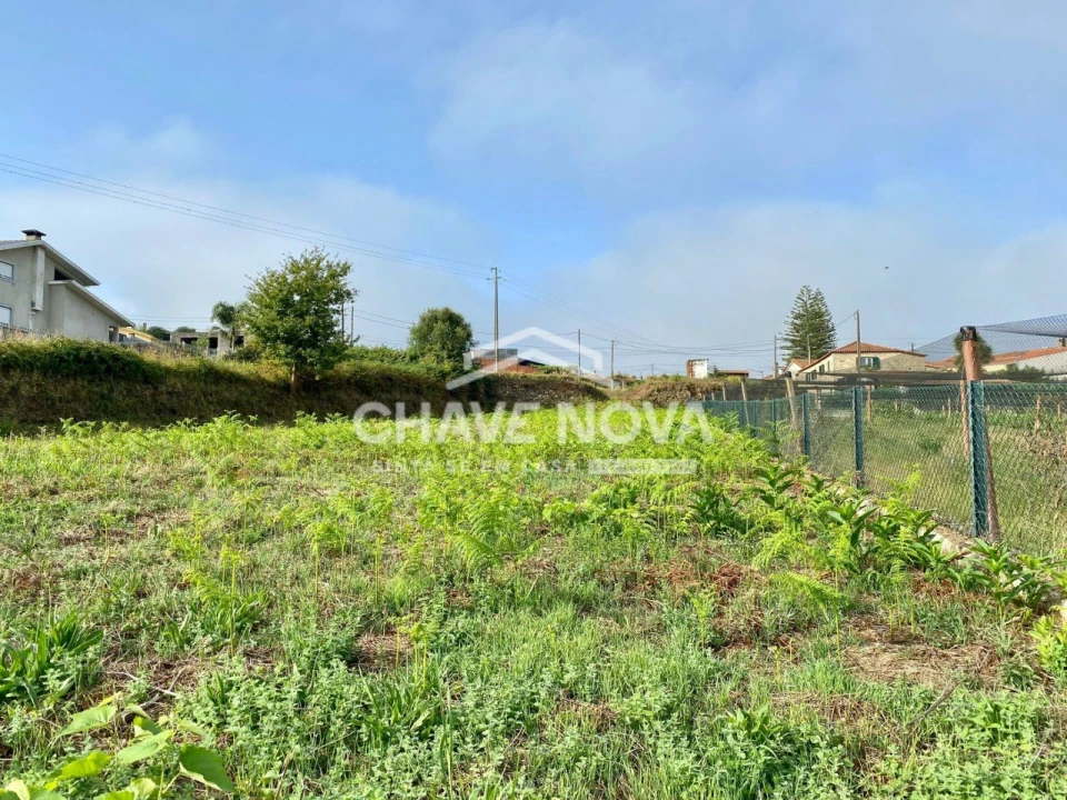 Terreno Misto para Venda em São João de Ver Foto 14