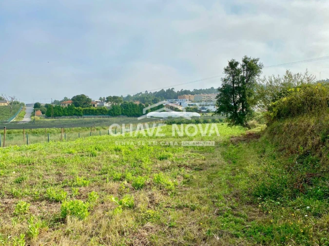 Terreno Misto para Venda em São João de Ver Foto 10