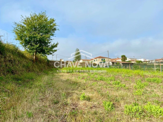 Terreno Misto para Venda em São João de Ver Foto 11