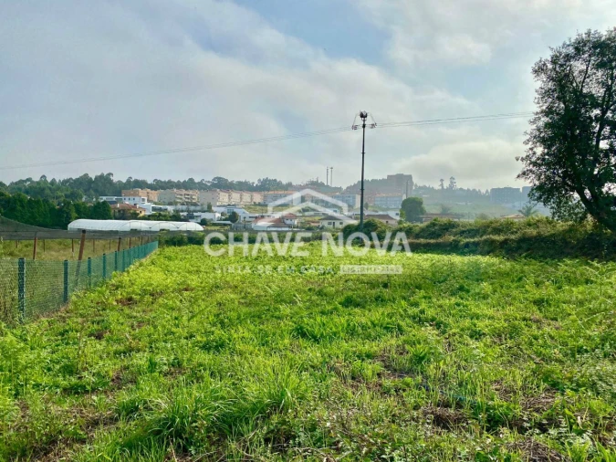 Terreno Misto para Venda em São João de Ver Foto 13