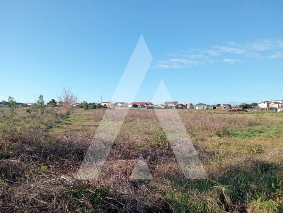 Terreno para Venda em Calvão Foto 5
