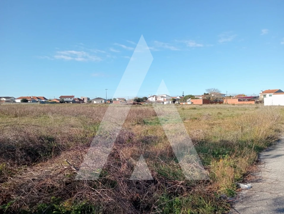 Terreno para Venda em Calvão Foto 7