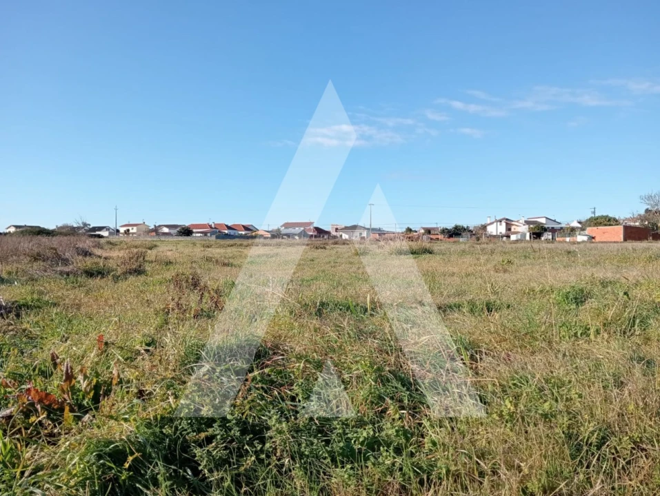 Terreno para Venda em Calvão Foto 8