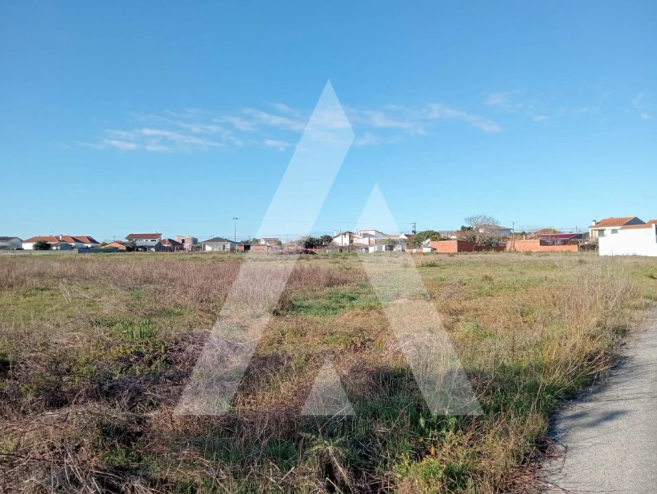 Terreno para Venda em Calvão Foto 1