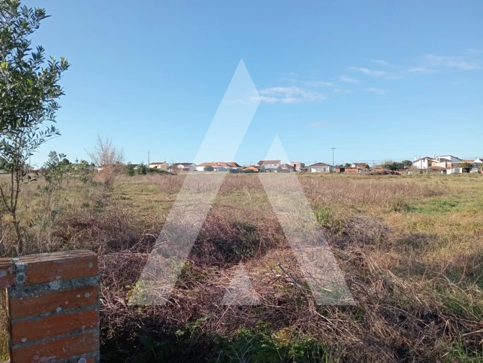 Terreno para Venda em Calvão Foto 10