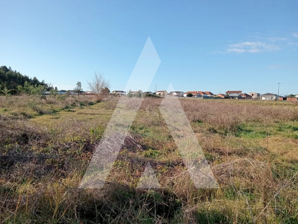 Terreno para Venda em Calvão Foto 12