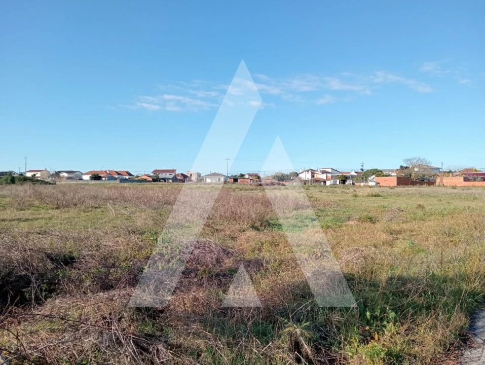 Terreno para Venda em Calvão Foto 13