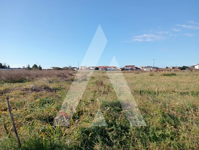 Terreno para Venda em Calvão Foto 4