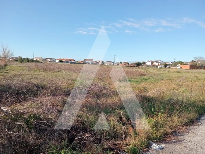 Terreno para Venda em Calvão Foto 9