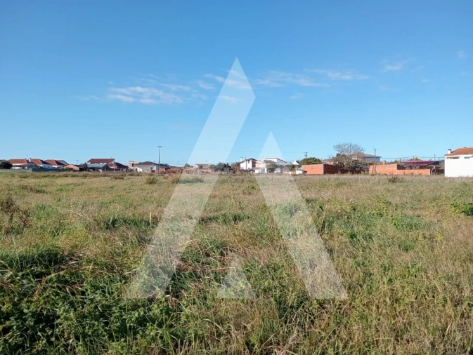 Terreno para Venda em Calvão Foto 11