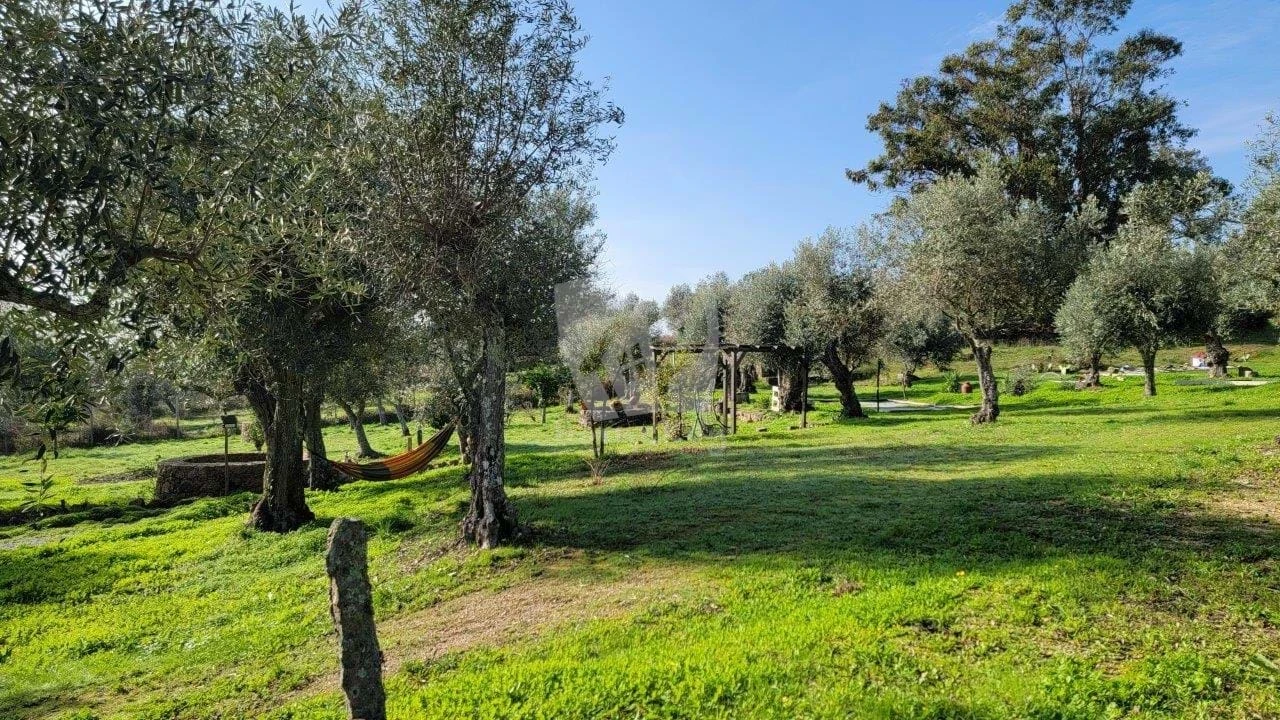 Quinta T3 para Venda em Castelo Branco Foto 35
