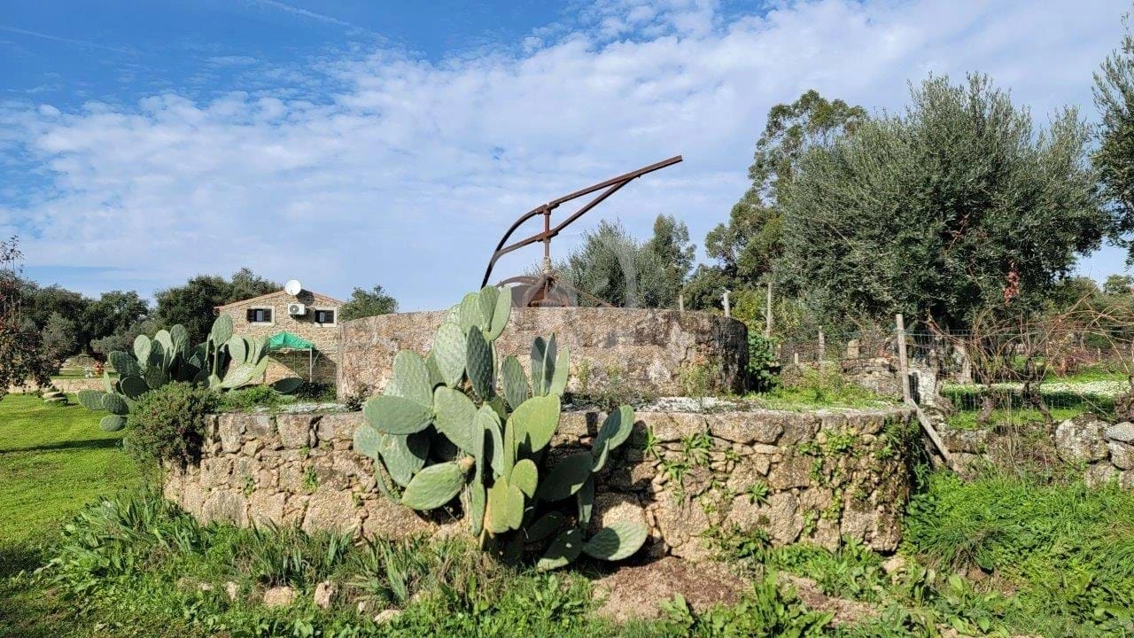 Quinta T3 para Venda em Castelo Branco Foto 47