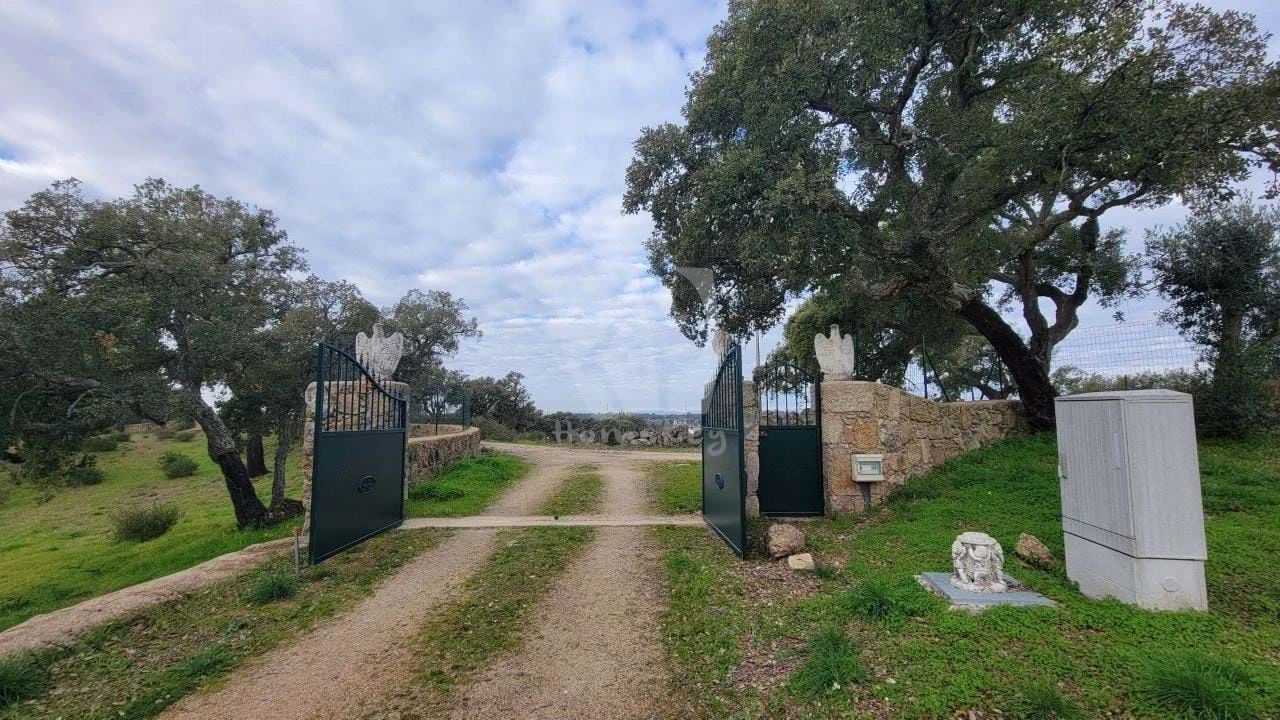 Quinta T3 para Venda em Castelo Branco Foto 97