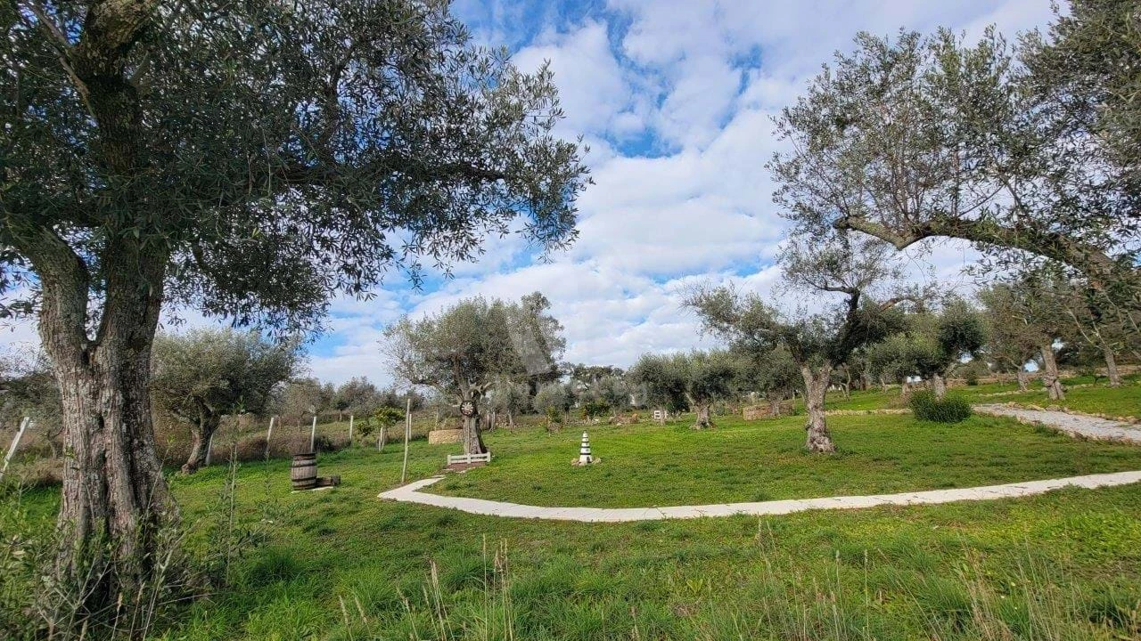 Quinta T3 para Venda em Castelo Branco Foto 69