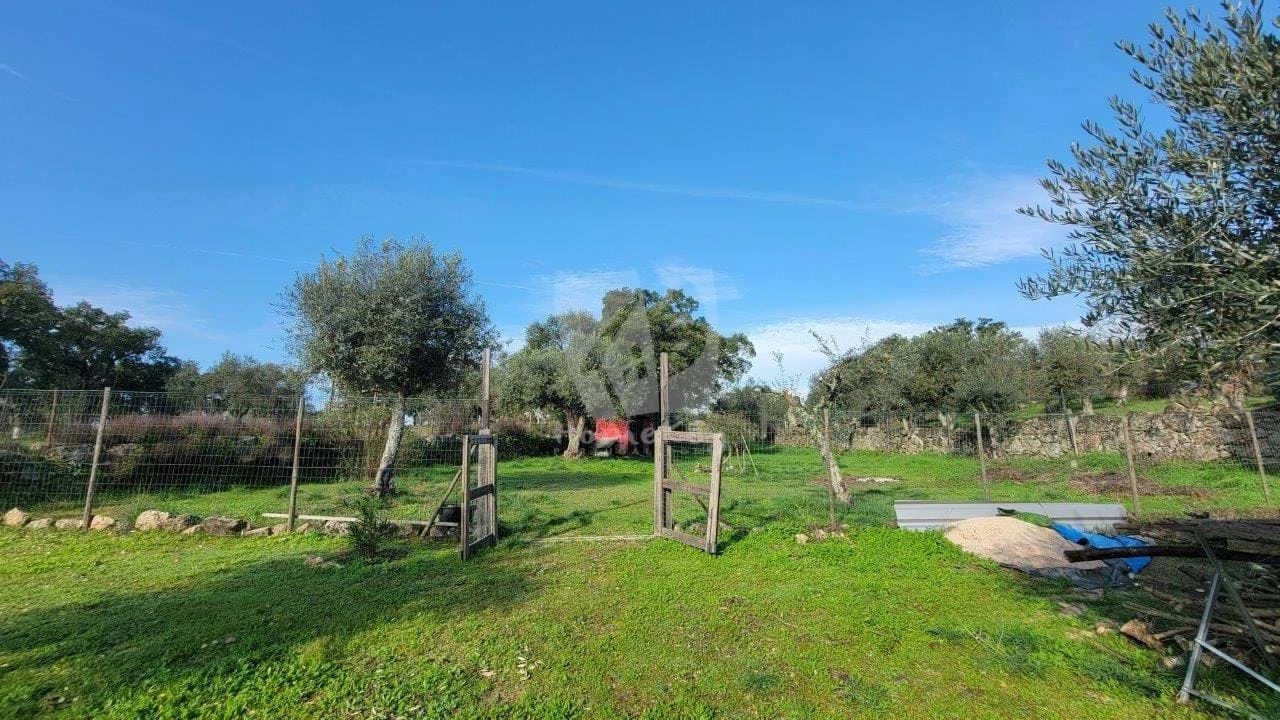 Quinta T3 para Venda em Castelo Branco Foto 29